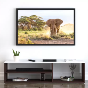 Soami Craft Tyler Floor Stnding TV Unit/ TV Cabinet Engineered Wood TV Entertainment Unit  (Finish Color – Wenge White, DIY(Do-It-Yourself))