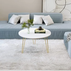 Mayrite Coffee Table / Centre Table